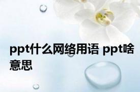 ppt什么网络用语 ppt啥意思 