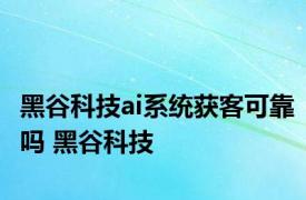 黑谷科技ai系统获客可靠吗 黑谷科技 