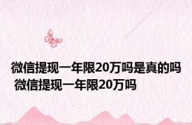 微信提现一年限20万吗是真的吗 微信提现一年限20万吗 