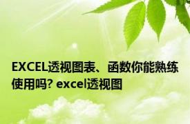 EXCEL透视图表、函数你能熟练使用吗? excel透视图 