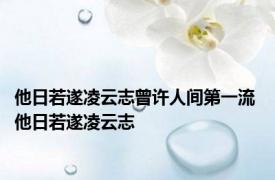 他日若遂凌云志曾许人间第一流 他日若遂凌云志 