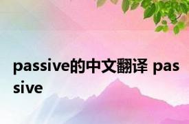 passive的中文翻译 passive 