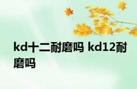 kd十二耐磨吗 kd12耐磨吗 