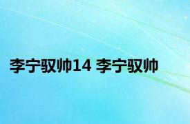 李宁驭帅14 李宁驭帅 