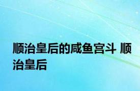 顺治皇后的咸鱼宫斗 顺治皇后 