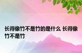 长得像竹不是竹的是什么 长得像竹不是竹 