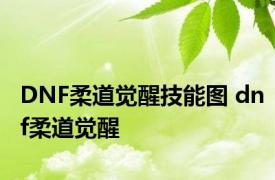 DNF柔道觉醒技能图 dnf柔道觉醒 