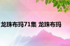 龙珠布玛71集 龙珠布玛 