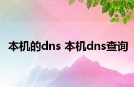 本机的dns 本机dns查询 