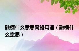 融梗什么意思网络用语（融梗什么意思）