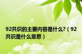 92共识的主要内容是什么?（92共识是什么意思）