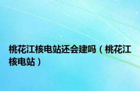 桃花江核电站还会建吗（桃花江核电站）