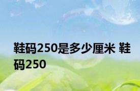 鞋码250是多少厘米 鞋码250 