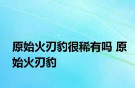 原始火刃豹很稀有吗 原始火刃豹 