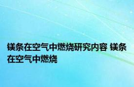 镁条在空气中燃烧研究内容 镁条在空气中燃烧 