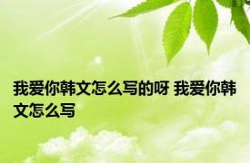 我爱你韩文怎么写的呀 我爱你韩文怎么写 