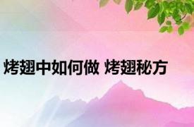 烤翅中如何做 烤翅秘方 