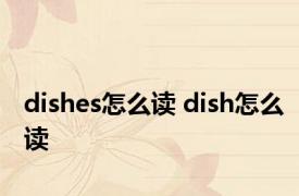 dishes怎么读 dish怎么读 