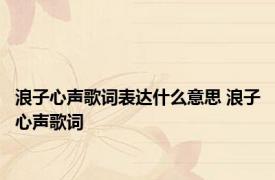 浪子心声歌词表达什么意思 浪子心声歌词 