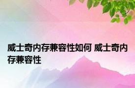 威士奇内存兼容性如何 威士奇内存兼容性 