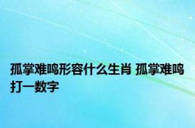 孤掌难鸣形容什么生肖 孤掌难鸣打一数字 