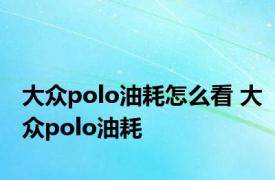 大众polo油耗怎么看 大众polo油耗 