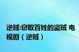 逆贼:窃取百姓的盗贼 电视剧（逆贼）