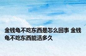 金钱龟不吃东西是怎么回事 金钱龟不吃东西能活多久 