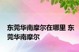 东莞华南摩尔在哪里 东莞华南摩尔 