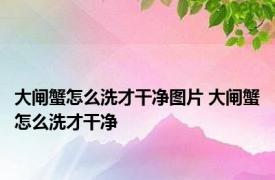 大闸蟹怎么洗才干净图片 大闸蟹怎么洗才干净 