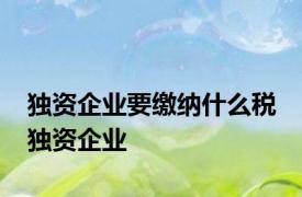 独资企业要缴纳什么税 独资企业 