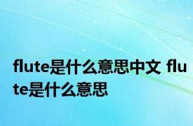 flute是什么意思中文 flute是什么意思 