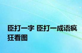 臣打一字 臣打一成语疯狂看图 