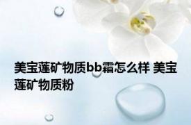 美宝莲矿物质bb霜怎么样 美宝莲矿物质粉 