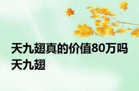 天九翅真的价值80万吗 天九翅 