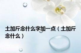 土加斤念什么字加一点（土加斤念什么）