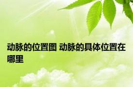 动脉的位置图 动脉的具体位置在哪里 