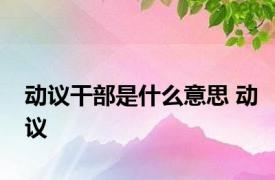 动议干部是什么意思 动议 