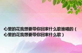 心里的花我想要带你回家什么歌谁唱的（心里的花我想要带你回家什么歌）