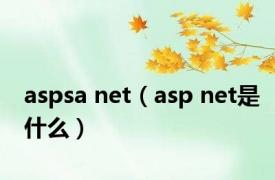 aspsa net（asp net是什么）