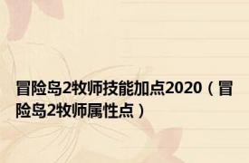 冒险岛2牧师技能加点2020（冒险岛2牧师属性点）