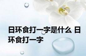 日环食打一字是什么 日环食打一字 