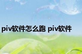 piv软件怎么跑 piv软件 