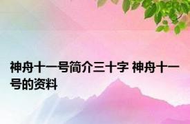 神舟十一号简介三十字 神舟十一号的资料 