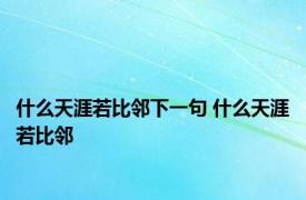 什么天涯若比邻下一句 什么天涯若比邻 