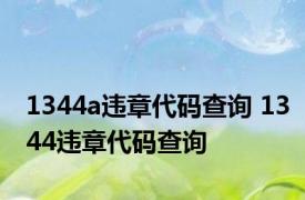 1344a违章代码查询 1344违章代码查询 