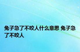 兔子急了不咬人什么意思 兔子急了不咬人 