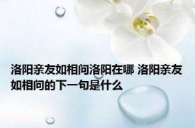 洛阳亲友如相问洛阳在哪 洛阳亲友如相问的下一句是什么 