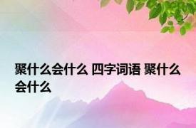 聚什么会什么 四字词语 聚什么会什么 