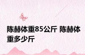 陈赫体重85公斤 陈赫体重多少斤 